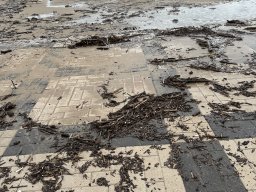 131-26-12-2025 IMG_3300